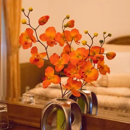 Local Familiar Bed & Breakfast Monfortinho