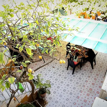 Local Familiar 莫佛帝霍