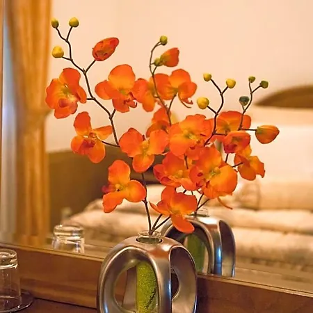 Local Familiar Bed & Breakfast