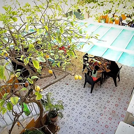 Local Familiar Bed & Breakfast Monfortinho